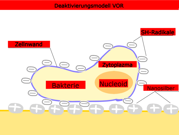 Bakterie Deaktivierungsmodell