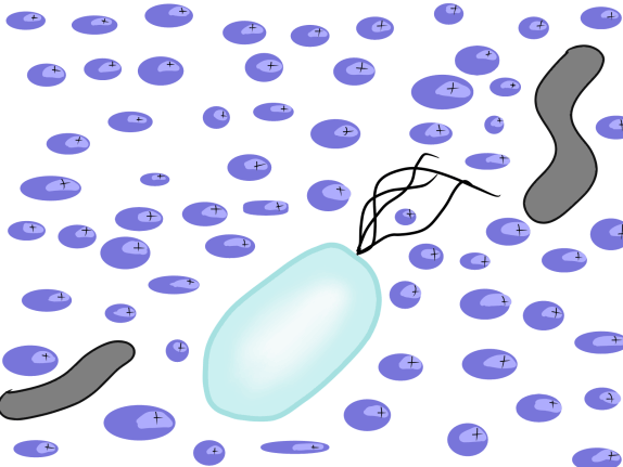 Groesseverhaltnis Nanopartikel und Bakterie