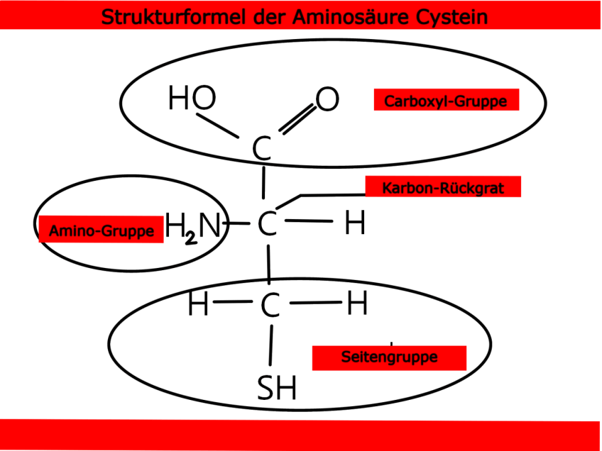 Aminosaure Cystein